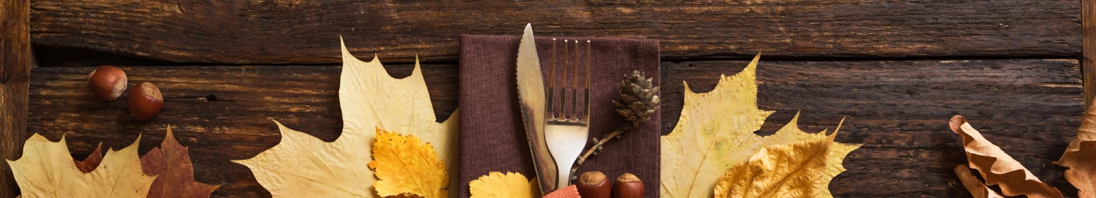 Thanksgiving Events Ann Arbor